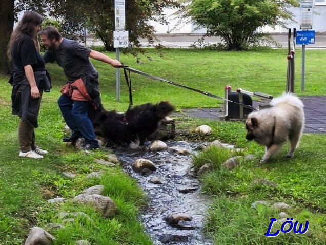 21.8.2025 - Bach&uuml;bergang 2